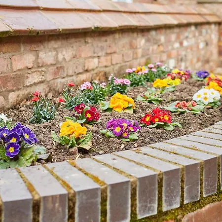 Feriehus Host & - Jubilee Close *